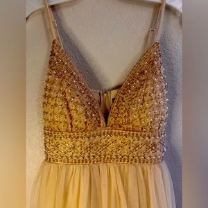 David’s Bridal Prom Dress (Nude Beige)